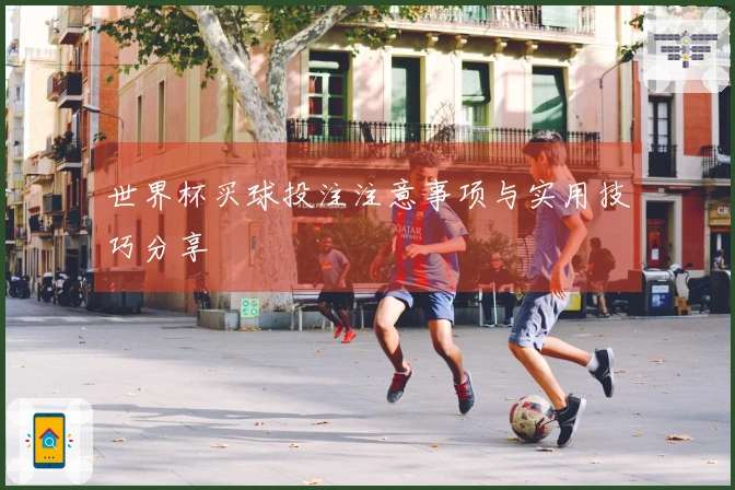 世界杯买球投注注意事项与实用技巧分享
