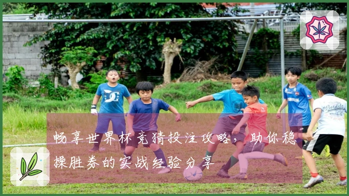 畅享世界杯竞猜投注攻略，助你稳操胜券的实战经验分享