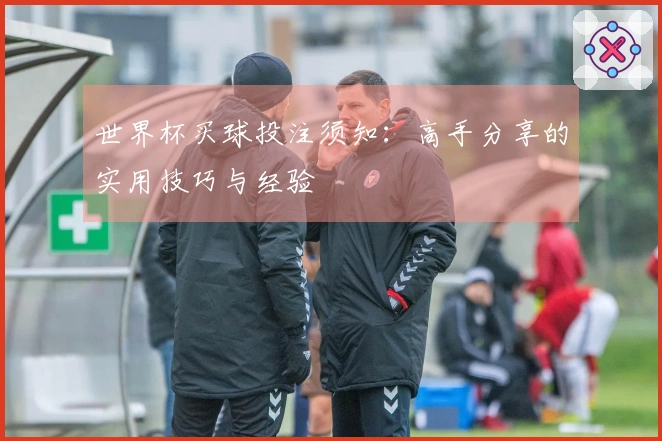世界杯买球投注须知：高手分享的实用技巧与经验
