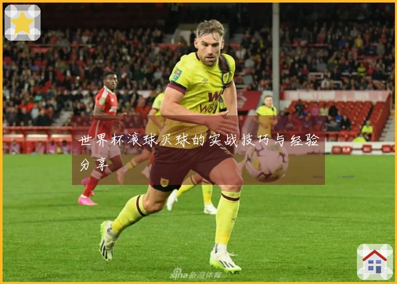 世界杯滚球买球的实战技巧与经验分享