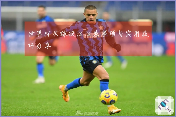世界杯买球投注注意事项与实用技巧分享